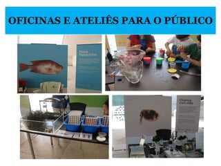 OFICINAS E ATELIÊS PARA O PÚBLICO 