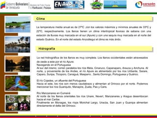 Clima

La temperatura media anual es de 27ºC ,con los valores máximos y mínimos anuales de 33ºC y
22ºC, respectivamente. Los llanos tienen un clima intertropical lluvioso de sabana con una
estación de lluvias muy marcada en el sur (Apure) y con una sequía muy marcada en el norte del
estado Guárico. En el norte del estado Anzoátegui el clima es más árido.


 Hidrografía


La red hidrográfica de los llanos es muy completa. Los llanos occidentales están atravesados
de oeste a este por el río Apure.
Navegando en el Portuguesa
Al sur del mismo, corren paralelos los ríos Meta, Cinaruco, Capanaparo, Arauca y Arichuna. Al
norte, y proveniente de los Andes, el río Apure es alimentado por los ríos Uribante, Sarare,
Caparo, Suripa, TIcoporo, Canaguá, Masparro , Santo Domingo, Portuguesa y Guárico.

El río Cojedes, un afluente del Portuguesa
Hacia el este, los ríos son menos caudalosos y alimentan al Orinoco por el norte. Podemos
mencionar los ríos Guariquito, Manapire, Zuata, Pao y Caris.

Río Manzanares en Cumaná
Al norte de los llanos orientales los ríos Unare, Neverí, Manzanares y Aragua desembocan
hacia el mar Caribe.
Finalmente en Monagas, los ríops Morichal Largo, Uracóa, San Juan y Guanipa alimentan
directamente el delta del Orinoco.
 