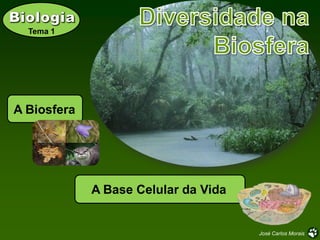 Tema 1




A Biosfera




             A Base Celular da Vida


                                      José Carlos Morais
 