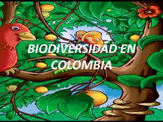 BIODIVERSIDAD EN
   COLOMBIA
 