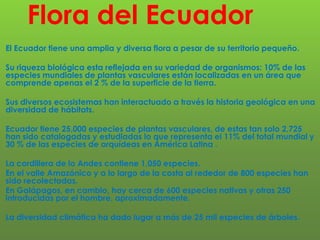 Flora del Ecuador
El Ecuador tiene una amplia y diversa flora a pesar de su territorio pequeño.
Su riqueza biológica esta reflejada en su variedad de organismos: 10% de las
especies mundiales de plantas vasculares están localizadas en un área que
comprende apenas el 2 % de la superficie de la tierra.
Sus diversos ecosistemas han interactuado a través la historia geológica en una
diversidad de hábitats.
Ecuador tiene 25,000 especies de plantas vasculares, de estas tan solo 2,725
han sido catalogadas y estudiadas lo que representa el 11% del total mundial y
30 % de las especies de orquídeas en América Latina .
La cordillera de lo Andes contiene 1,050 especies.
En el valle Amazónico y a lo largo de la costa al rededor de 800 especies han
sido recolectadas.
En Galápagos, en cambio, hay cerca de 600 especies nativas y otras 250
introducidas por el hombre, aproximadamente.
La diversidad climática ha dado lugar a más de 25 mil especies de árboles.
 