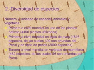 2.-Diversidad de especies
Número y variedad de especies animales y
vegetales.
 Primero a nivel mundial en uso de las plantas
nativas (4400 plantas utilizadas).
 Primero a nivel mundial en tipos de aves (1816
especies, de las cuales 109 son oriundas del
Perú) y en tipos de peces (2000 especies).
 Tercero a nivel mundial en variedad de mamíferos
(462 especies, de las cuales 46 son oriundas del
Perú).
 