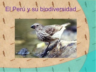 El Perú y su biodiversidad
 