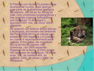  El Perú es uno de los 10 países mega
diversos del mundo, pues alberga
gran parte de la diversidad biológica
del planeta, con 84 de las zonas de
vida, ocho provincias biogeográficas y
tres grandes cuencas hidrográficas
que contienen 12 201 lagos y
lagunas, 1007 ríos, así como 3044
glaciares.
 De acuerdo con Antonio Brack biólogo
y ecologista, ex ministro del ambiente
del Perú(2008-2011), se calcula que
existen 25 000 especies y el primero
en cuanto a especies domesticadas
nativas. Entre todas, las orquídeas
son la familia de plantas más
numerosa, con 3000 especies.
Respecto de la fauna, el Perú posee
462 especies de mamíferos; 1815, de
aves; 395, de reptiles; 405, de
anfibios; 2000; de peces y 4000, de
mariposas .
 