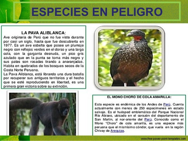 ESPECIES EN PELIGRO
 
