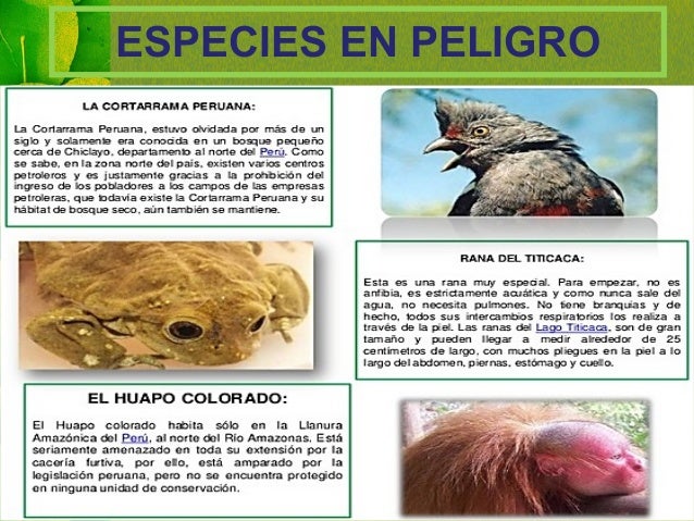 ESPECIES EN PELIGRO
 