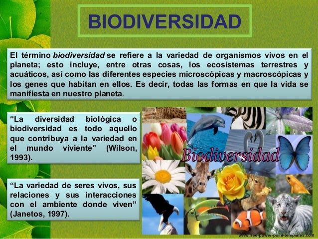 El tÃ©rmino biodiversidadÂ se refiere a la variedad de organismos vivos en el
planeta; esto incluye, entre otras cosas, los ...