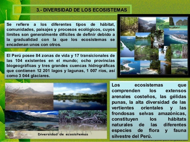 3.- DIVERSIDAD DE LOS ECOSISTEMAS
El PerÃº posee 84 zonas de vida y 17 transicionales de
las 104 existentes en el mundo; oc...