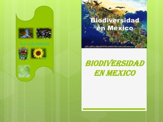 Biodiversidad
en Mexico
Sus naturalesas
 