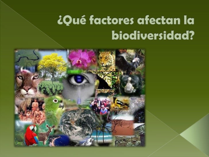 Biodiversidad en méxico