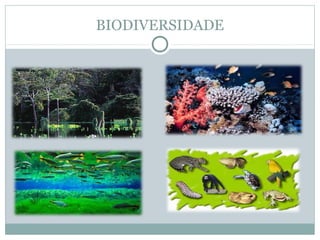 BIODIVERSIDADE

 