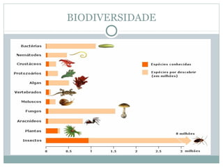 BIODIVERSIDADE

 
