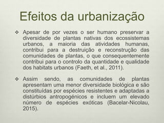 Efeitos da urbanização
 Apesar de por vezes o ser humano preservar a
diversidade de plantas nativas dos ecossistemas
urbanos, a maioria das atividades humanas,
contribui para a destruição e reconstrução das
comunidades de plantas, o que consequentemente
contribui para o controlo da quantidade e qualidade
dos habitats urbanos (Faeth, et al., 2011).
 Assim sendo, as comunidades de plantas
apresentam uma menor diversidade biológica e são
constituídas por espécies resistentes e adaptadas a
distúrbios antropogénicos e incluem um elevado
número de espécies exóticas (Bacelar-Nicolau,
2015).
 