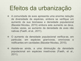 Efeitos da urbanização
 A comunidade de aves apresenta uma enorme redução
de diversidade de espécies, embora se verifique um
aumento da sua biomassa e densidade populacional
(Bacelar-Nicolau, 2015) embora este aumento se deva,
muitas vezes, ao aumento da densidade de aves não
nativas (Faeth, et al., 2011).
 O aumento da densidade populacional verifica-se, em
particular, em espécies granívoras, omnívoras e
nidificantes em cavidades (Bacelar-Nicolau, 2015).
 Assiste-se ainda, a uma diminuição da densidade
populacional em espécies insetívoras (Faeth, et al.,
2011).
 