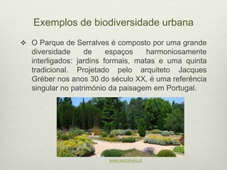 Exemplos de biodiversidade urbana
 O Parque de Serralves é composto por uma grande
diversidade de espaços harmoniosamente
interligados: jardins formais, matas e uma quinta
tradicional. Projetado pelo arquiteto Jacques
Gréber nos anos 30 do século XX, é uma referência
singular no património da paisagem em Portugal.
www.serralves.pt
 
