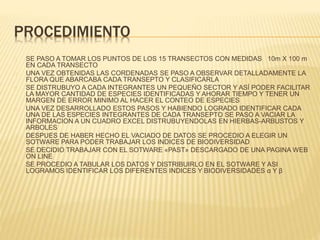 PROCEDIMIENTO 
SE PASO A TOMAR LOS PUNTOS DE LOS 15 TRANSECTOS CON MEDIDAS 10m X 100 m 
EN CADA TRANSECTO 
UNA VEZ OBTENIDAS LAS CORDENADAS SE PASO A OBSERVAR DETALLADAMENTE LA 
FLORA QUE ABARCABA CADA TRANSEPTO Y CLASIFICARLA 
SE DISTRUBUYO A CADA INTEGRANTES UN PEQUEÑO SECTOR Y ASÍ PODER FACILITAR 
LA MAYOR CANTIDAD DE ESPECIES IDENTIFICADAS Y AHORAR TIEMPO Y TENER UN 
MARGEN DE ERROR MINIMO AL HACER EL CONTEO DE ESPECIES 
UNA VEZ DESARROLLADO ESTOS PASOS Y HABIENDO LOGRADO IDENTIFICAR CADA 
UNA DE LAS ESPECIES INTEGRANTES DE CADA TRANSEPTO SE PASO A VACIAR LA 
INFORMACION A UN CUADRO EXCEL DISTRUBUYENDOLAS EN HIERBAS-ARBUSTOS Y 
ARBOLES 
DESPUES DE HABER HECHO EL VACIADO DE DATOS SE PROCEDIO A ELEGIR UN 
SOTWARE PARA PODER TRABAJAR LOS INDICES DE BIODIVERSIDAD 
SE DECIDIO TRABAJAR CON EL SOTWARE «PAST» DESCARGADO DE UNA PAGINA WEB 
ON LINE 
SE PROCEDIO A TABULAR LOS DATOS Y DISTRIBUIRLO EN EL SOTWARE Y ASI 
LOGRAMOS IDENTIFICAR LOS DIFERENTES INDICES Y BIODIVERSIDADES α Y β 
 