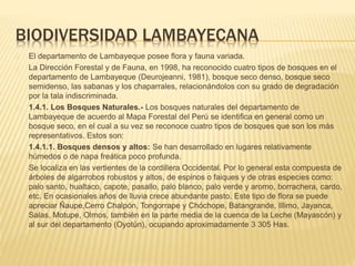 BIODIVERSIDAD LAMBAYECANA 
El departamento de Lambayeque posee flora y fauna variada. 
La Dirección Forestal y de Fauna, en 1998, ha reconocido cuatro tipos de bosques en el 
departamento de Lambayeque (Deurojeanni, 1981), bosque seco denso, bosque seco 
semidenso, las sabanas y los chaparrales, relacionándolos con su grado de degradación 
por la tala indiscriminada. 
1.4.1. Los Bosques Naturales.- Los bosques naturales del departamento de 
Lambayeque de acuerdo al Mapa Forestal del Perú se identifica en general como un 
bosque seco, en el cual a su vez se reconoce cuatro tipos de bosques que son los más 
representativos. Estos son: 
1.4.1.1. Bosques densos y altos: Se han desarrollado en lugares relativamente 
húmedos o de napa freática poco profunda. 
Se localiza en las vertientes de la cordillera Occidental. Por lo general esta compuesta de 
árboles de algarrobos robustos y altos, de espinos o faiques y de otras especies como: 
palo santo, hualtaco, capote, pasallo, palo blanco, palo verde y aromo, borrachera, cardo, 
etc. En ocasionales años de lluvia crece abundante pasto. Este tipo de flora se puede 
apreciar Ñaupe,Cerro Chalpón, Tongorrape y Chóchope, Batangrande, Illimo, Jayanca, 
Salas, Motupe, Olmos, también en la parte media de la cuenca de la Leche (Mayascón) y 
al sur del departamento (Oyotún), ocupando aproximadamente 3 305 Has. 
 
