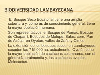 BIODIVERSIDAD LAMBAYECANA 
El Bosque Seco Ecuatorial tiene una amplia 
cobertura y, como es de conocimiento general, tiene 
la mayor población humana. 
Son representativos: el Bosque de Pomac, Bosque 
de Chaparrí, Bosques de Motupe, Salas, cerro Pan 
de Azúcar en Oyotún, valles de Zaña y Olmos. 
La extensión de los bosques secos, en Lambayeque, 
exceden las 715,000 ha, actualmente. Oyotún tiene 
la mayor población de cactáceas columnares, con el 
género Neoraimondia y, las cactáceas ovoides: 
Melocactus. 
 