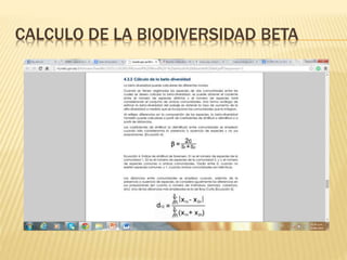 CALCULO DE LA BIODIVERSIDAD BETA 
 