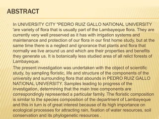 ABSTRACT 
In UNIVERSITY CITY "PEDRO RUIZ GALLO NATIONAL UNIVERSITY 
'are variety of flora that is usually part of the Lambayeque flora. They are 
currently very well preserved as it has with irrigation systems and 
maintenance and protection of our flora in our first home study, but at the 
same time there is a neglect and ignorance that plants and flora that 
normally we live around us and which are their properties and benefits 
they generate us. It is botanically less studied area of all relict forests of 
Lambayeque. 
The present investigation was undertaken with the object of scientific 
study, by sampling floristic, life and structure of the components of the 
university and surrounding flora that abounds in PEDRO RUIZ GALLO 
NATIONAL UNIVERSITY. Samples leading to progress of the 
investigation, determining that the main tree components are 
correspondingly represented a particular family. The floristic composition 
is similar to the species composition of the department of Lambayeque 
and this in turn is of great interest because of its high importance on 
ecological processes for attracting rain, fixation of water resources, soil 
conservation and its phylogenetic resources . 
 