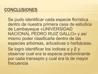 CONCLUSIONES 
Se pudo identificar cada especie florística 
dentro de nuestra primera casa de estudios 
de Lambayeque «UNIVERSIDAD 
NACIONAL PEDRO RUIZ GALLO» y así 
mismo poder clasificarla dentro de las 
especies arbóreas, arbustivas o herbáceas. 
Se logro identificar los índices α y β y 
observar cual era la especie predominante 
por cada transepto y cual era la de mayor 
frecuencia 
 