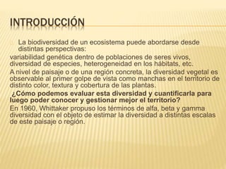 INTRODUCCIÓN 
La biodiversidad de un ecosistema puede abordarse desde 
distintas perspectivas: 
variabilidad genética dentro de poblaciones de seres vivos, 
diversidad de especies, heterogeneidad en los hábitats, etc. 
A nivel de paisaje o de una región concreta, la diversidad vegetal es 
observable al primer golpe de vista como manchas en el territorio de 
distinto color, textura y cobertura de las plantas. 
¿Cómo podemos evaluar esta diversidad y cuantificarla para 
luego poder conocer y gestionar mejor el territorio? 
En 1960, Whittaker propuso los términos de alfa, beta y gamma 
diversidad con el objeto de estimar la diversidad a distintas escalas 
de este paisaje o región. 
 