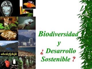 Biodiversidad
y
¿ Desarrollo
Sostenible ?
 