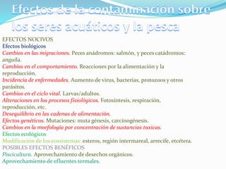 EFECTOS NOCIVOS
Efectos biológicos
Cambios en las migraciones. Peces anádromos: salmón, y peces catádromos:
anguila.
Cambios en el comportamiento. Reacciones por la alimentación y la
reproducción.
Incidencia de enfermedades. Aumento de virus, bacterias, protozoos y otros
parásitos.
Cambios en el ciclo vital. Larvas/adultos.
Alteraciones en los procesos fisiológicos. Fotosíntesis, respiración,
reproducción, etc.
Desequilibrio en las cadenas de alimentación.
Efectos genéticos. Mutaciones: muta génesis, carcinogénesis.
Cambios en la morfología por concentración de sustancias toxicas.
Efectos ecológicos
Modificación de los ecosistemas: esteros, región intermareal, arrecife, etcétera.
POSIBLES EFECTOS BENÉFICOS
Piscicultura. Aprovechamiento de desechos orgánicos.
Aprovechamiento de efluentes termales.
 