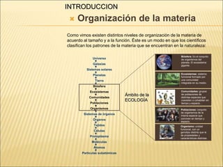 INTRODUCCION
 Organización de la materia
Como vimos existen distintos niveles de organización de la materia de
acuerdo al tamaño y a la función. Éste es un modo en que los científicos
clasifican los patrones de la materia que se encuentran en la naturaleza:
Universo
Galaxias
Sistemas solares
Planetas
Tierra
Biósfera
Ecosistemas
Comunidades
Poblaciones
Organismos
Sistemas de órganos
Órganos
Tejidos
Células
Protoplásma
Moléculas
Átomos
Partículas subatómicas

















Poblaciones: conjunto
de organismos de la
misma especie que
conviven en tiempo y
espacio.
Organismo: unidad
funcional, con un
genotipo distinto que le
da propiedades y
características distintas.
Biósfera: Es el conjunto
de organismos del
planeta. El ecosistema
gigante.
Comunidades: grupos
de poblaciones de
distintas especies que
coexisten o cohabitan en
tiempo y espacio. .
Ecosistemas: sistema
funcional formado por
una comunidad
integrada en su medio.
Ámbito de la
ECOLOGÍA
 