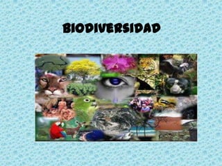 Biodiversidad
 