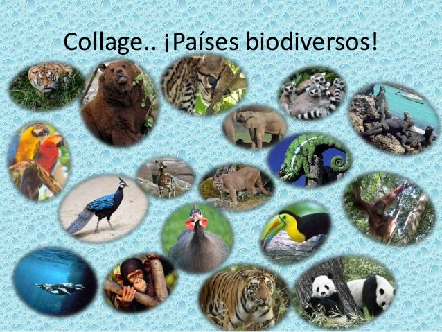 La Biodiversidad