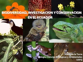 BIODIVERSIDAD, INVESTIGACION Y CONSERVACION
              EN EL ECUADOR




                                            Stella de la Torre
                   Colegio Ciencias Biológicas y Ambientales
                                                         USFQ
 