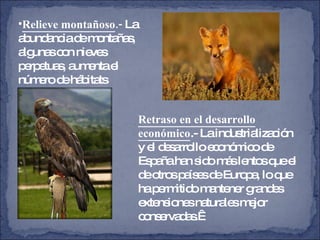 Relieve montañoso .-  La abundancia de montañas, algunas con nieves perpetuas, aumenta el número de hábitats  Retraso en el desarrollo económico .- La industrialización y el desarrollo económico de España han sido más lentos que el de otros países de Europa, lo que ha permitido mantener grandes extensiones naturales mejor conservadas.  