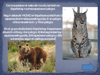 Como sucede en el resto del mundo, también en España hay muchas especies en peligro. Según datos del WCMC en España se contabilizan 2 especies de animales ya extinguidos, 9  en peligro crítico de extinción  y 16 en peligro. En el grupo de árboles en España hay 5 especies en situación crítica y 4 en peligro. Entre las plantas hay 6 especies extinguidas, 204 especies en peligro y 283 vulnerables, según el catálogo europeo.   