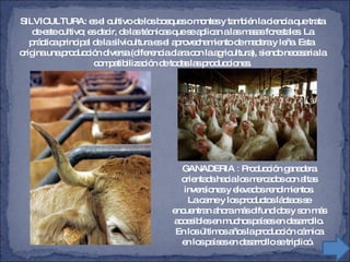 SILVICULTURA: es el cultivo de los bosques o montes y también la ciencia que trata de este cultivo; es decir, de las técnicas que se aplican a las masas forestales. La práctica principal de la silvicultura es el aprovechamiento de madera y leña. Esta  origina una producción diversa (diferencia clara con la agricultura), siendo necesaria la compatibilización de todas las producciones. GANADERIA  :  Producción ganadera orientada hacia los mercados con altas inversiones y elevados rendimientos. La carne y los productos lácteos se encuentran ahora más difundidos y son más accesibles en muchos países en desarrollo. En los últimos años la producción cárnica en los países en desarrollo se triplicó.  