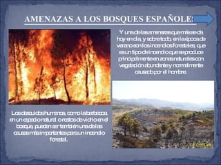 AMENAZAS A LOS BOSQUES ESPAÑOLES Y una de las amenazas que más se da hoy en día, y sobre todo, en la época de verano son los incendios forestales, que es un tipo de incendio que se produce principalmente en zonas naturales con vegetación abundante y normalmente causado por el hombre. Los descuidos humanos, como la barbacoa en un espacio natural o restos de vidrio en el bosque, pueden ser también una de las causas más importantes para un incendio forestal. 