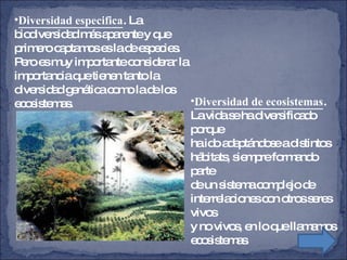 Diversidad de ecosistemas . La vida se ha diversificado porque ha ido adaptándose a distintos hábitats, siempre formando parte de un sistema complejo de interrelaciones con otros seres vivos  y no vivos, en lo que llamamos ecosistemas .  Diversidad especifica . La biodiversidad más aparente y que primero captamos es la de especies. Pero es muy importante considerar la importancia que tienen tanto la diversidad genética como la de los ecosistemas.  