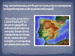 Hay varios factores que influyen en la abundancia de especies en España respecto a otros países de Europa:    Situación geográfica .-  La península, por su situación geográfica disfruta de climas muy variados, tienen clima mediterráneo e incluso árido, otras lo tienen húmedo y muchas otras son áreas de transición. 