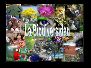 La Biodiversidad 