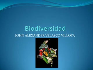 JOHN ALEXANDER VELASCO VILLOTA
 