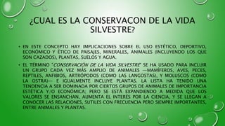 ¿CUAL ES LA CONSERVACON DE LA VIDA
SILVESTRE?
• EN ESTE CONCEPTO HAY IMPLICACIONES SOBRE EL USO ESTÉTICO, DEPORTIVO,
ECONÓMICO Y ÉTICO DE PAISAJES, MINERALES, ANIMALES (INCLUYENDO LOS QUE
SON CAZADOS), PLANTAS, SUELOS Y AGUA.
• EL TÉRMINO "CONSERVACIÓN DE LA VIDA SILVESTRE" SE HA USADO PARA INCLUIR
UN GRUPO CADA VEZ MÁS AMPLIO DE ANIMALES —MAMÍFEROS, AVES, PECES,
REPTILES, ANFIBIOS, ARTRÓPODOS (COMO LAS LANGOSTAS), Y MOLUSCOS (COMO
LA OSTRA)— E IGUALMENTE INCLUYE PLANTAS. LA LISTA HA TENIDO UNA
TENDENCIA A SER DOMINADA POR CIERTOS GRUPOS DE ANIMALES DE IMPORTANCIA
ESTÉTICA Y/O ECONÓMICA; PERO SE ESTÁ EXPANDIENDO A MEDIDA QUE LOS
VALORES SE ENSANCHAN, AUMENTA EL INTERÉS POR LA CIENCIA, Y SE LLEGAN A
CONOCER LAS RELACIONES, SUTILES CON FRECUENCIA PERO SIEMPRE IMPORTANTES,
ENTRE ANIMALES Y PLANTAS.
 