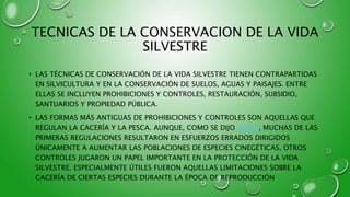 TECNICAS DE LA CONSERVACION DE LA VIDA
SILVESTRE
• LAS TÉCNICAS DE CONSERVACIÓN DE LA VIDA SILVESTRE TIENEN CONTRAPARTIDAS
EN SILVICULTURA Y EN LA CONSERVACIÓN DE SUELOS, AGUAS Y PAISAJES. ENTRE
ELLAS SE INCLUYEN PROHIBICIONES Y CONTROLES, RESTAURACIÓN, SUBSIDIO,
SANTUARIOS Y PROPIEDAD PÚBLICA.
• LAS FORMAS MÁS ANTIGUAS DE PROHIBICIONES Y CONTROLES SON AQUELLAS QUE
REGULAN LA CACERÍA Y LA PESCA. AUNQUE, COMO SE DIJO ANTES, MUCHAS DE LAS
PRIMERAS REGULACIONES RESULTARON EN ESFUERZOS ERRADOS DIRIGIDOS
ÚNICAMENTE A AUMENTAR LAS POBLACIONES DE ESPECIES CINEGÉTICAS, OTROS
CONTROLES JUGARON UN PAPEL IMPORTANTE EN LA PROTECCIÓN DE LA VIDA
SILVESTRE. ESPECIALMENTE ÚTILES FUERON AQUELLAS LIMITACIONES SOBRE LA
CACERÍA DE CIERTAS ESPECIES DURANTE LA ÉPOCA DE REPRODUCCIÓN
 