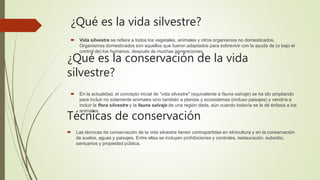 ¿Qué es la vida silvestre?
 Vida silvestre se refiere a todos los vegetales, animales y otros organismos no domesticados.
Organismos domesticados son aquellos que fueron adaptados para sobrevivir con la ayuda de (o bajo el
control de) los humanos, después de muchas generaciones.
¿Qué es la conservación de la vida
silvestre?
 En la actualidad, el concepto inicial de "vida silvestre" (equivalente a fauna salvaje) se ha ido ampliando
para incluir no solamente animales sino también a plantas y ecosistemas (incluso paisajes) y vendría a
incluir la flora silvestre y la fauna salvaje de una región dada, aún cuando todavía se le dé énfasis a los
animales.
Técnicas de conservación
 Las técnicas de conservación de la vida silvestre tienen contrapartidas en silvicultura y en la conservación
de suelos, aguas y paisajes. Entre ellas se incluyen prohibiciones y controles, restauración, subsidio,
santuarios y propiedad pública.
 