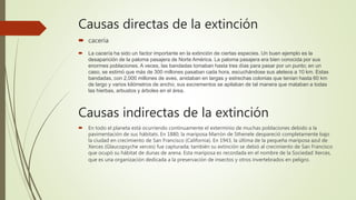 Causas directas de la extinción
 cacería
 La cacería ha sido un factor importante en la extinción de ciertas especies. Un buen ejemplo es la
desaparición de la paloma pasajera de Norte América. La paloma pasajera era bien conocida por sus
enormes poblaciones. A veces, las bandadas tomaban hasta tres días para pasar por un punto; en un
caso, se estimó que más de 300 millones pasaban cada hora, escuchándose sus aleteos a 10 km. Estas
bandadas, con 2,000 millones de aves, anidaban en largas y estrechas colonias que tenían hasta 60 km
de largo y varios kilómetros de ancho; sus excrementos se apilaban de tal manera que mataban a todas
las hierbas, arbustos y árboles en el área.
Causas indirectas de la extinción
 En todo el planeta está ocurriendo continuamente el exterminio de muchas poblaciones debido a la
pavimentación de sus hábitats. En 1880, la mariposa Marrón de Sthenele despareció completamente bajo
la ciudad en crecimiento de San Francisco (California). En 1943, la última de la pequeña mariposa azul de
Xerces (Glaucopsyche xerces) fue capturada; también su extinción se debió al crecimiento de San Francisco
que ocupó su hábitat de dunas de arena. Esta mariposa es recordada en el nombre de la Sociedad Xerces,
que es una organización dedicada a la preservación de insectos y otros invertebrados en peligro.
 