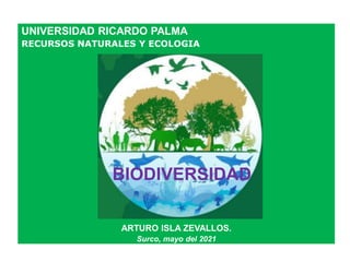UNIVERSIDAD RICARDO PALMA
RECURSOS NATURALES Y ECOLOGIA
ARTURO ISLA ZEVALLOS.
Surco, mayo del 2021
BIODIVERSIDAD
 