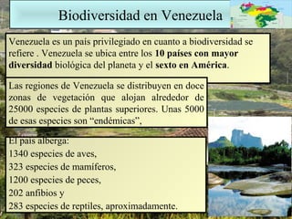 BBiiooddiivveerrssiiddaadd eenn VVeenneezzuueellaa 
Venezuela es un país privilegiado en cuanto a biodiversidad se 
refiere . Venezuela se ubica entre los 10 países con mayor 
diversidad biológica del planeta y el sexto en América. 
Las regiones de Venezuela se distribuyen en doce 
zonas de vegetación que alojan alrededor de 
25000 especies de plantas superiores. Unas 5000 
de esas especies son “endémicas”, 
El país alberga: 
1340 especies de aves, 
323 especies de mamíferos, 
1200 especies de peces, 
202 anfibios y 
283 especies de reptiles, aproximadamente. 
 