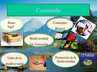 CCoonntteenniiddoo 
Conceptos 
Básicos 
Conceptos 
Básicos 
Valor de la 
biodiversidad 
Valor de la 
biodiversidad 
Protección de la 
biodiversidad 
Protección de la 
biodiversidad 
Biodiversidad 
En Venezuela 
Biodiversidad 
En Venezuela 
Bases 
legal 
 