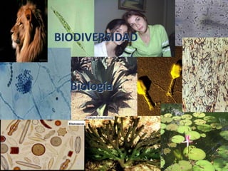 BIODIVERSIDAD


  Biología
 