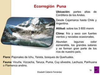 Ecorregión Puna
Ubicación: partes altas de
Cordillera de los Andes.
Desde Cajamarca hasta Chile y
Argentina.
Altitud: sobre los 3 800 msnm
Clima: frío y seco con fuertes
vientos y nevadas ocasionales.
Abundan lagunas color
esmeralda, los grandes salares
y se forman gran parte de los
ríos de nuestro país.
Flora: Pajonales de Ichu, Yareta, bosques de Queñuales.
Fauna: Vicuña, Vizcacha, Taruca, Puma, Cuy silvestre, Lechuza, Parihuana
o Flamenco andino.
14
Elizabeth Calderón Fernández
 