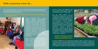 IPADE se posiciona a favor de...
Con la intención de evitar y minimizar los impactos de la pérdida de biodiversidad sobre
las poblaciones empobrecidas, en el marco de las conferencias de Naciones Unidas sobre
Diversidad Biológica, IPADE apuesta por:

así como el resto de la ciudadanía, para
iniciar procesos de información, acuerdo y
consentimiento previo y fundamentado.

•	

Por
ello,
IPADE
apuesta
por
el
fortalecimiento comunitario y la creación
de espacios participativos para atender a las
necesidades y prioridades específicas de las
poblaciones locales y los pueblos indígenas,
en los procesos de toma de decisiones
institucionalizados. La conservación de la
biodiversidad no debe ser una excusa para
que estas poblaciones no ejerzan su derecho
al desarrollo en función de sus inquietudes,
expectativas, intereses y visiones de
futuro, sino una oportunidad para que las
comunidades locales y los pueblos indígenas
se empoderen y definan sus propios modelos
de desarrollo, no viéndose avasallados por
modelos ajenos e impuestos.

Reconocimiento de los derechos y prácticas tradicionales de los pueblos indígenas y
las comunidades locales
Muchas comunidades locales y pueblos
indígenas
gestionan
sosteniblemente
regiones con altos índices de biodiversidad y
desarrollan desde hace siglos prácticas que
contribuyen a su conservación. Sin embargo,
los derechos consuetudinarios de tenencia
y gestión de estas tierras y las prácticas
sostenibles de manejo tradicional, así como
los derechos y necesidades sentidas de estas
poblaciones, siguen sin ser efectivamente
reconocidos, escuchados, ni valorizados en
el marco del Convenio de conservación de
la biodiversidad, ni en los planes de gestión
nacionales y locales; son por lo tanto
invisibilizados.
Lograr la valorización e inclusión de estas
prácticas tradicionales, así como de los
derechos consuetudinarios de tenencia de la
tierra y gestión de los recursos, pasa por
articular mecanismos de decisión y gestión
participativos en los que tomen parte las
comunidades locales y los pueblos indígenas

•	

Sistemas de protección de áreas que
garantice las necesidades básicas de
las poblaciones que habitan en ellas

Las áreas protegidas son una herramienta interesante desde el punto de vista de la
conservación, pero en muchas ocasiones la declaración de áreas protegidas ha implicado el no
reconocimiento de los derechos consuetudinarios de tenencia de la tierra de las poblaciones
indígenas, así como la restricción de uso y gestión de los recursos y el desplazamiento forzado
de las poblaciones locales hacia regiones contiguas, lo que ha influido negativamente en su

 